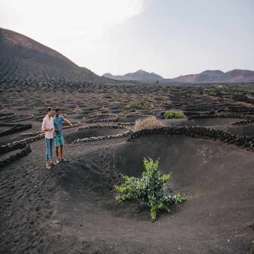 Ruta de los Vinos en Lanzarote para grupos