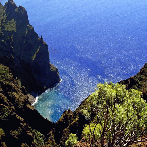 Excursion para grupos Barranco de Masca, Tenerife