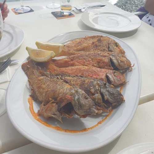 Restaurantes en Gran Canaria para comer Pescado (rutas gastronómicas para grupos Gran Canaria)