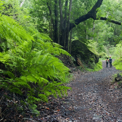 Excursiones y senderismo en la Isla de La Palma