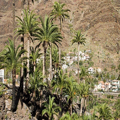 Experiences in La Gomera, its trail route