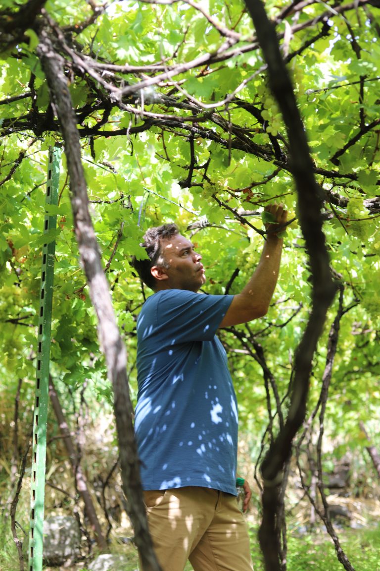 Ruta gastronómica Gran Canaria