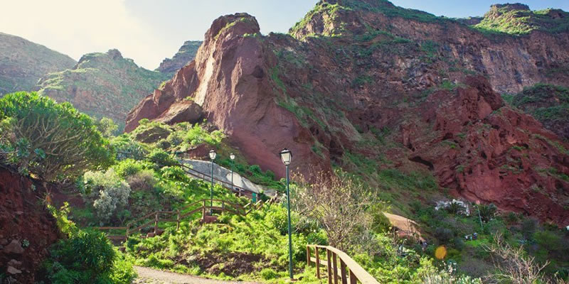 Tours Gran Canaria, Barranco de Guayadeque